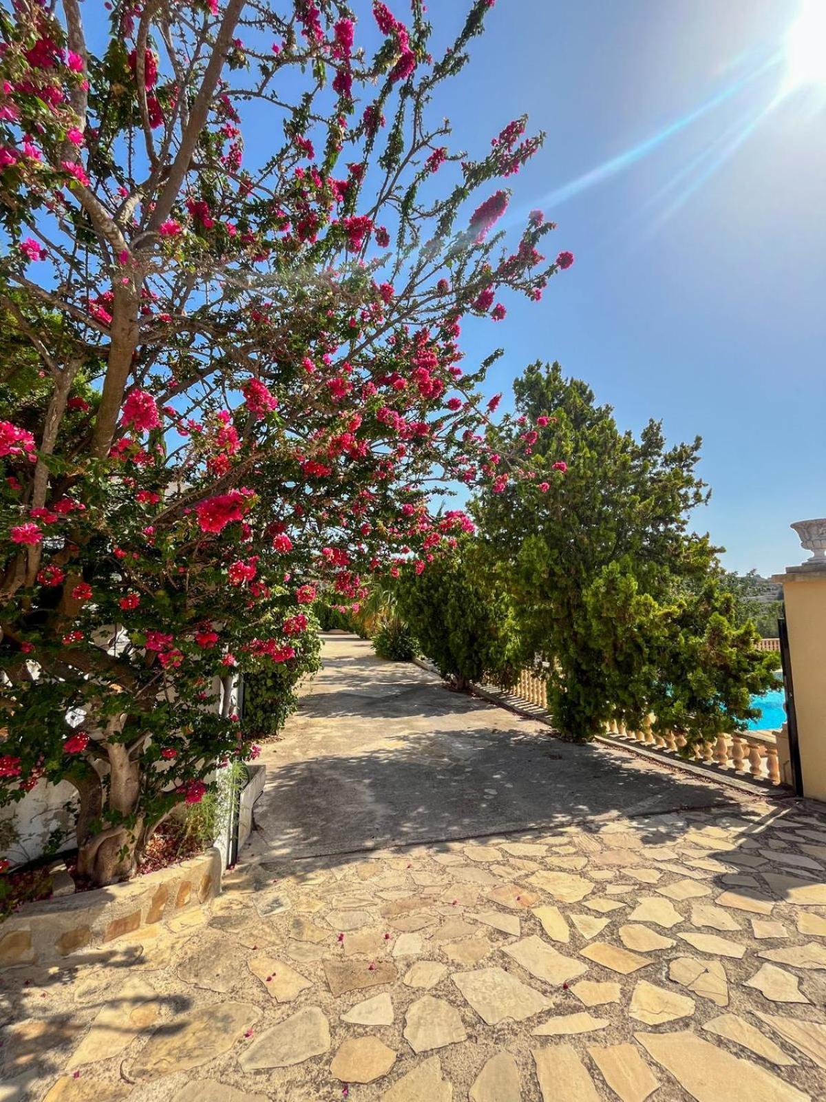 Casa Mar Benissa Calpe Apartment Екстериор снимка